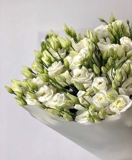 Букет бели еустоми